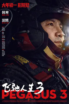 国产精品亚洲二区在线